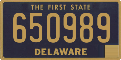DE license plate 650989
