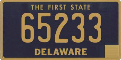 DE license plate 65233