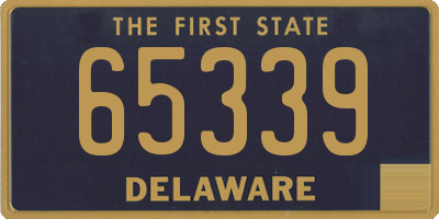 DE license plate 65339