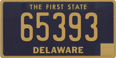DE license plate 65393