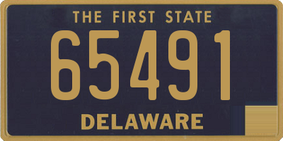 DE license plate 65491