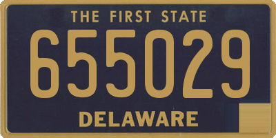 DE license plate 655029