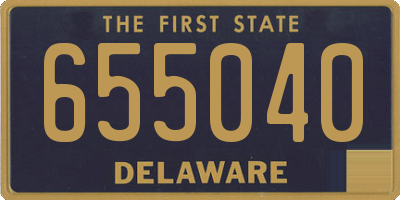 DE license plate 655040