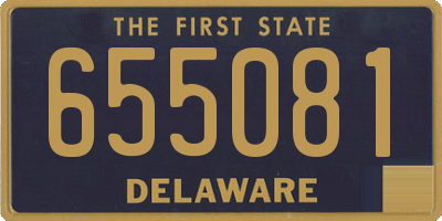 DE license plate 655081