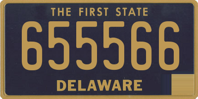 DE license plate 655566