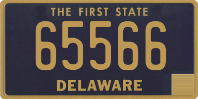 DE license plate 65566