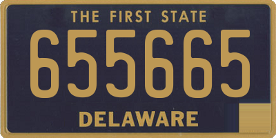 DE license plate 655665