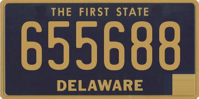 DE license plate 655688