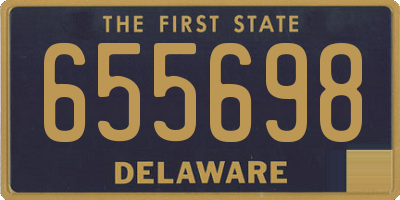 DE license plate 655698