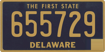 DE license plate 655729