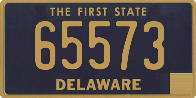 DE license plate 65573