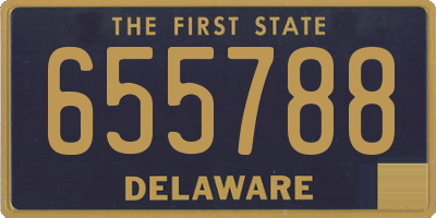 DE license plate 655788
