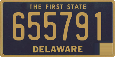 DE license plate 655791