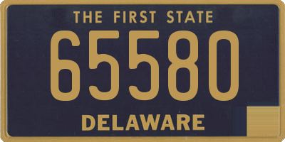 DE license plate 65580