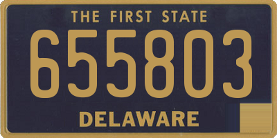 DE license plate 655803