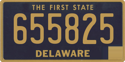 DE license plate 655825