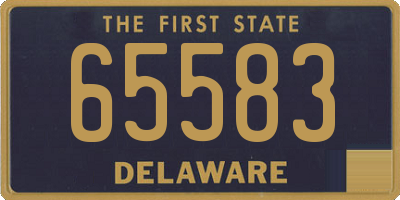 DE license plate 65583