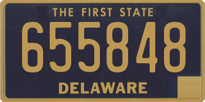 DE license plate 655848