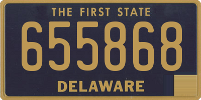 DE license plate 655868