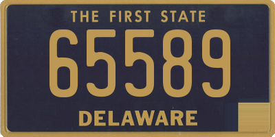 DE license plate 65589