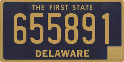 DE license plate 655891