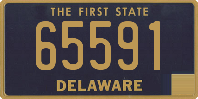 DE license plate 65591