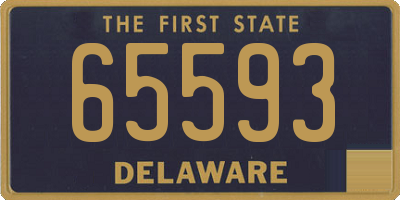 DE license plate 65593