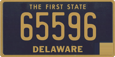 DE license plate 65596