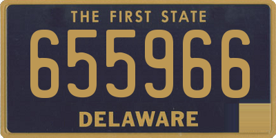 DE license plate 655966