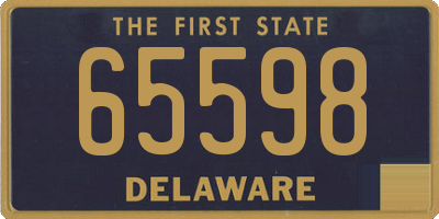 DE license plate 65598