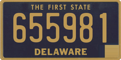 DE license plate 655981