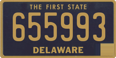 DE license plate 655993