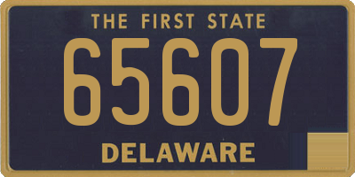 DE license plate 65607
