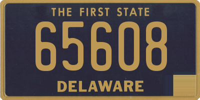 DE license plate 65608
