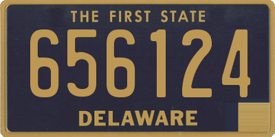 DE license plate 656124
