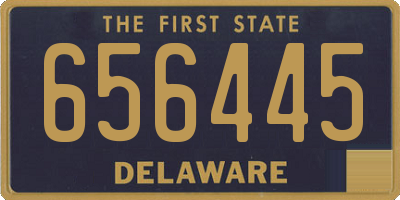 DE license plate 656445