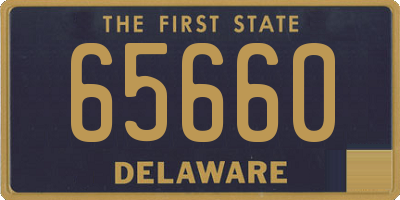 DE license plate 65660