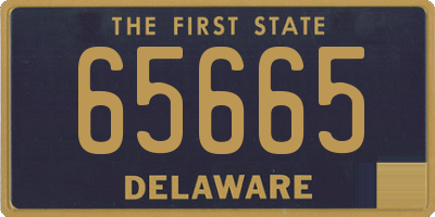 DE license plate 65665