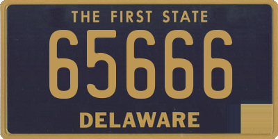 DE license plate 65666