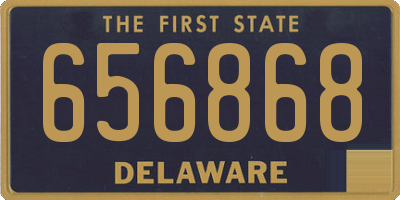DE license plate 656868
