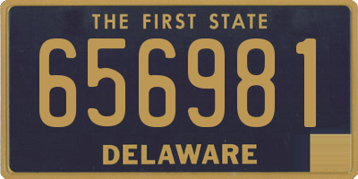 DE license plate 656981