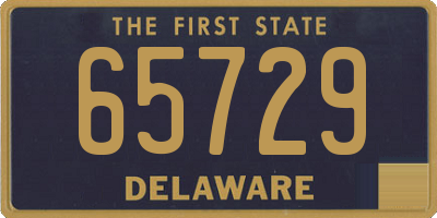 DE license plate 65729