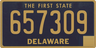 DE license plate 657309
