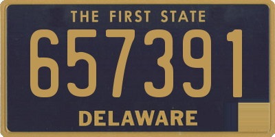 DE license plate 657391