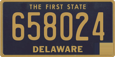 DE license plate 658024