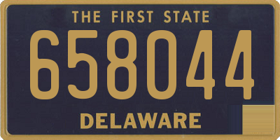 DE license plate 658044