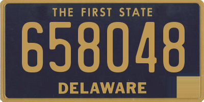 DE license plate 658048