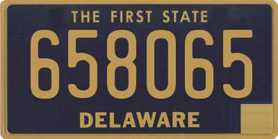 DE license plate 658065