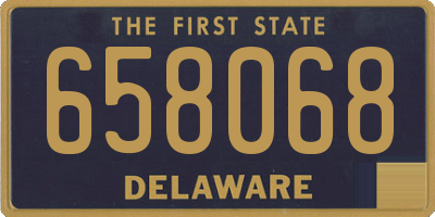 DE license plate 658068