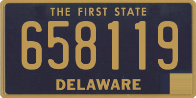 DE license plate 658119